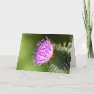 Tarjeta Florecimiento doble de cerezo rosa en primavera de