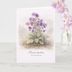 Tarjeta Florens tardiva El florecimiento Tardío Botánico