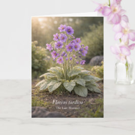 Tarjeta Florens tardiva La Floración Tardía Botánica