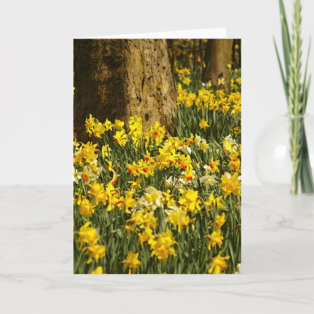 TARJETA FLORES (Anverso)