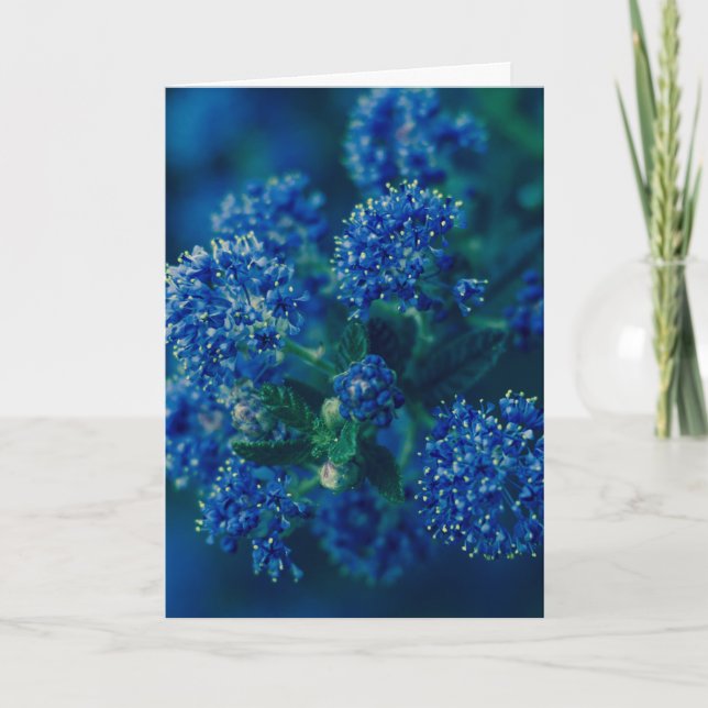 Tarjeta Flores (Anverso)