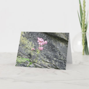Tarjeta Flores alpinas