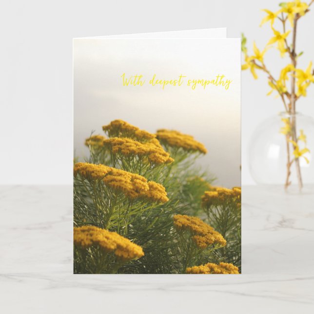 Tarjeta Flores Amarillas Silvestres Clima Brumoso Sudáfric (flor amarilla)
