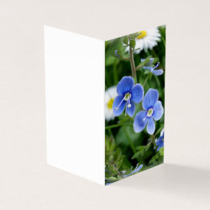 Tarjeta flores azules minúsculas