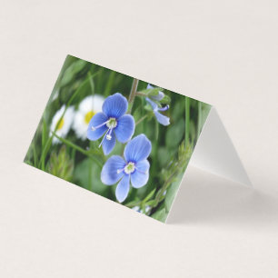 Tarjeta flores azules minúsculas