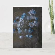 Flores Azules Suaves en la Lluvia, Arte de Condole