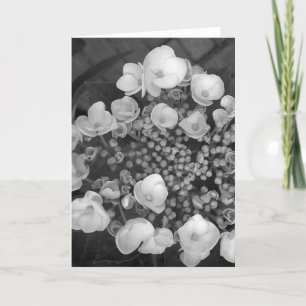 Tarjeta Flores B&W
