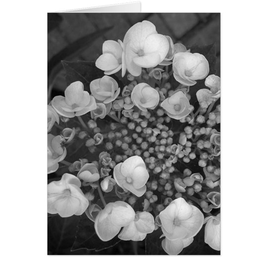 Tarjeta Flores B&W
