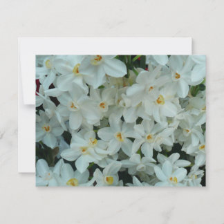 Tarjeta Flores blancas de arcissus paperblancas