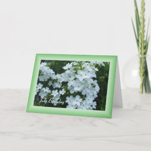 Tarjeta Flores blancas de bonito