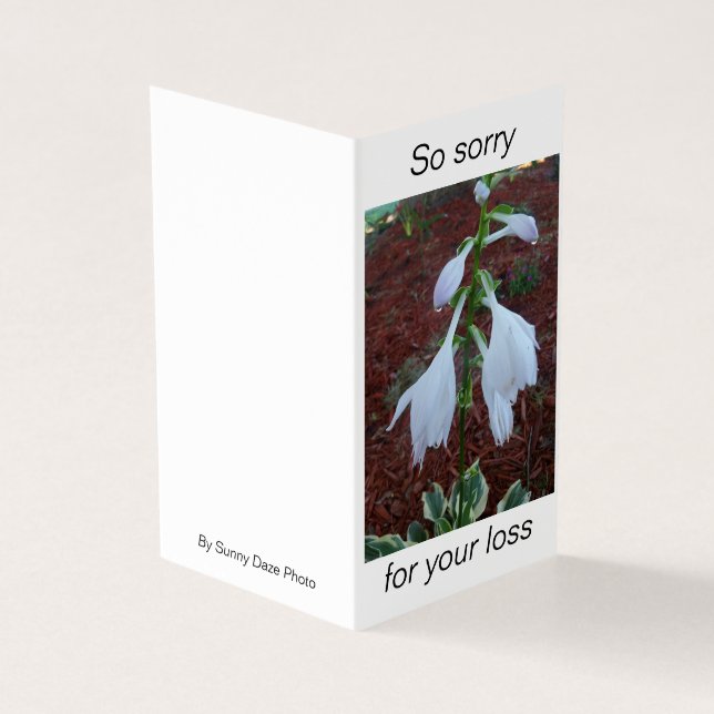 Tarjeta Flores blancas de Hosta Sol en una compasión (Exterior)