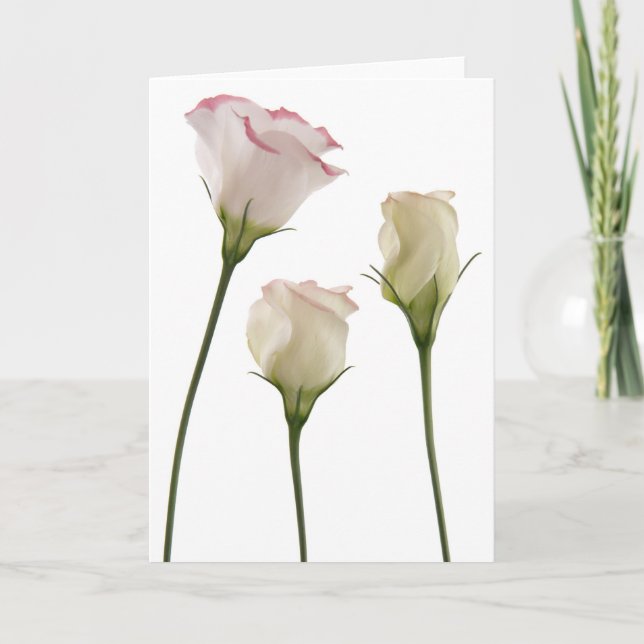 Tarjeta flores blancas del lisianthus, trío (Anverso)