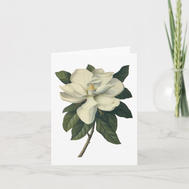Tarjeta Flores blancas florecientes del flor de la (Anverso)
