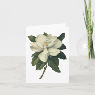 Tarjeta Flores blancas florecientes del flor de la