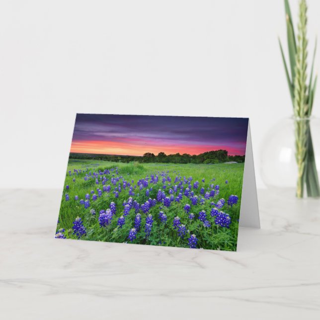 Tarjeta Flores | Bluebonnets en Sunset Texas (Anverso)