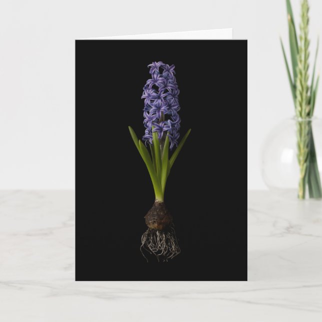 Tarjeta Flores | Bombilla morada de jacinto (Anverso)