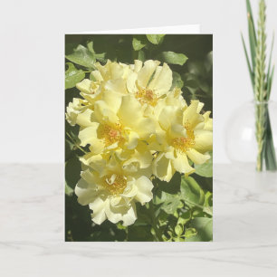 Tarjeta Flores botánicas amarillas