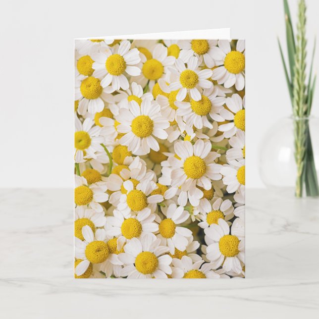 Tarjeta Flores | Bunch of Chamomiles (Anverso)