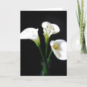 Tarjeta Flores Calla Lily 10