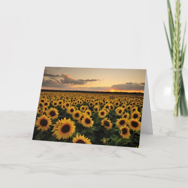 Tarjeta Flores | Campo de girasol (Anverso)
