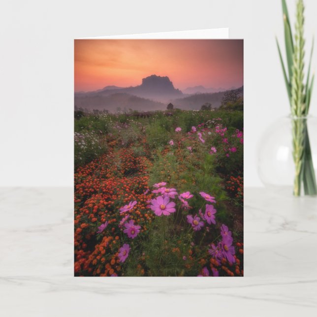 Tarjeta Flores | Chiang Dao, Chiang Mai, Tailandia (Anverso)