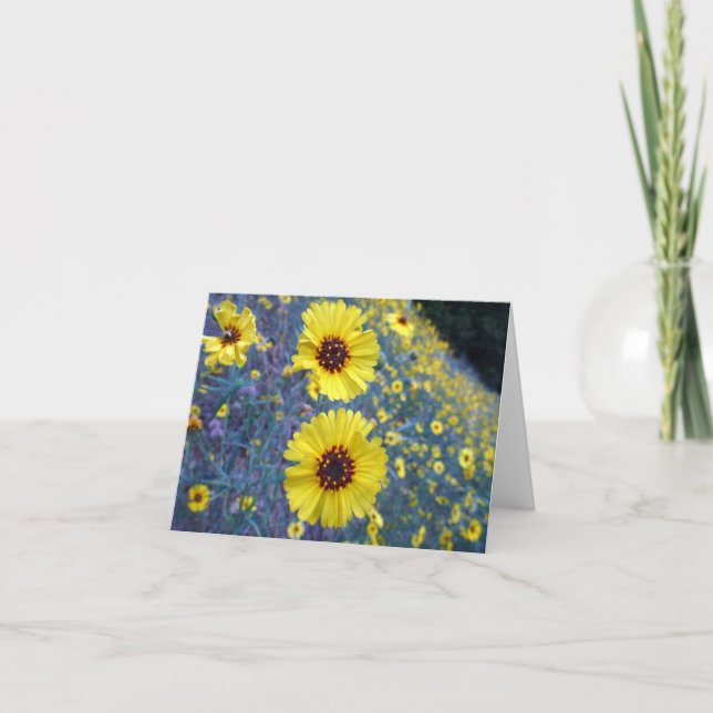 Tarjeta Flores comunes de Madia en el Parque Nacional Sequ (Anverso)