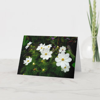 Tarjeta Flores Cosmos Blancas