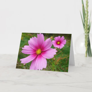 Tarjeta Flores Cosmos rosadas Flores silvestres