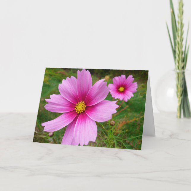 Tarjeta Flores Cosmos rosadas Flores silvestres (Anverso)