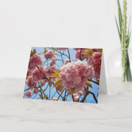 Tarjeta Flores de abril [Tarjeta de felicitación]