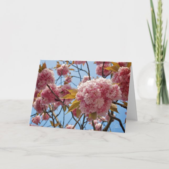 Tarjeta Flores de abril [Tarjeta de felicitación] (Anverso)