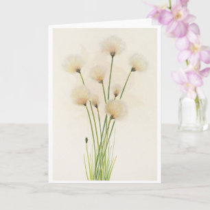 Tarjeta Flores de algodón