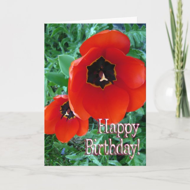 Tarjeta Flores de amapola - ¡Feliz cumpleaños! (Anverso)