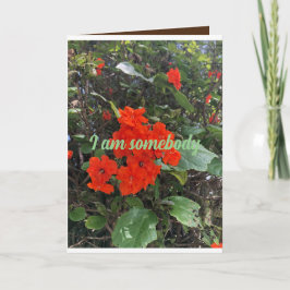 Tarjeta flores de amor de alguien a quien le importa. salu