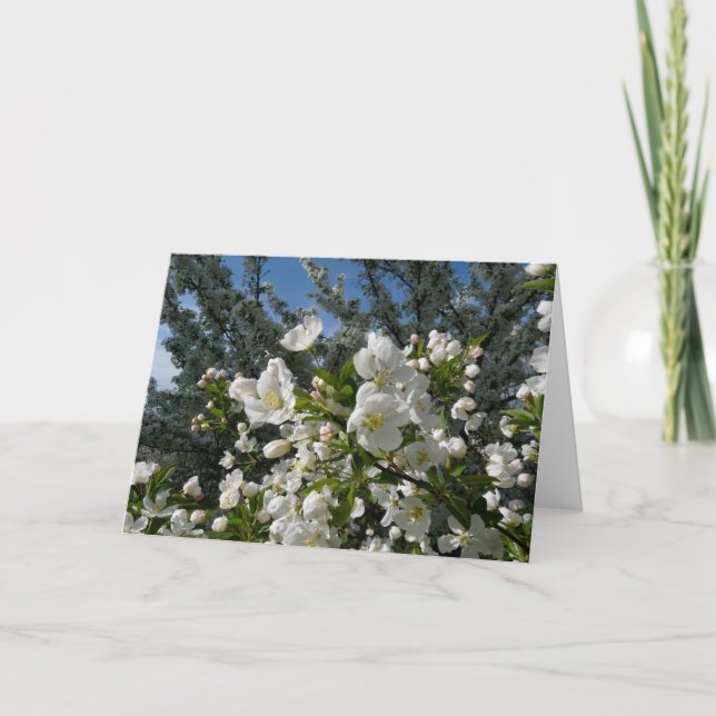 Tarjeta Flores de Apple (Anverso)