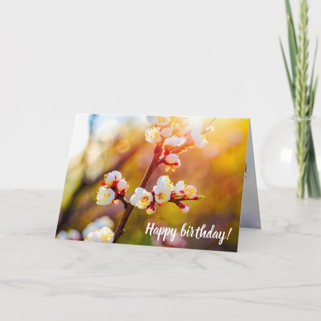 Tarjeta Flores De Apricot Japonesas Al Atardecer Naranja C (Anverso)