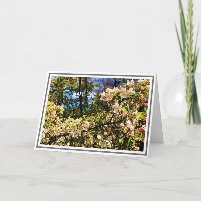 Tarjeta Flores de árbol de arce blanco y rosa (Anverso)