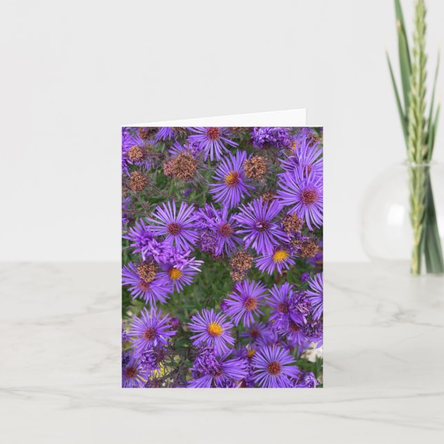 Tarjeta Flores De Aster Púrpura En Una Fotografía De Jardí (Anverso)
