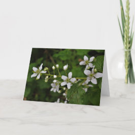 Tarjeta Flores de Blackberry