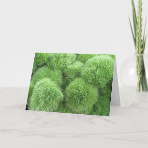 Tarjeta ¡Flores de bolas! Arte marco de Dianthus verde