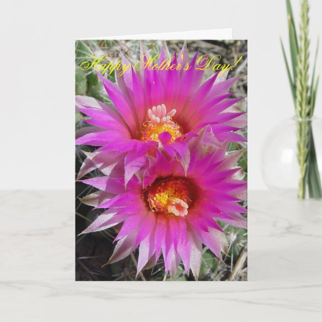 Tarjeta Flores de cactus de bolas F5 "Escobaria vivipara" (Anverso)