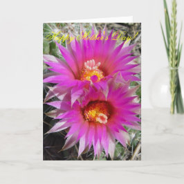 Tarjeta Flores de cactus de bolas F5 "Escobaria vivipara"