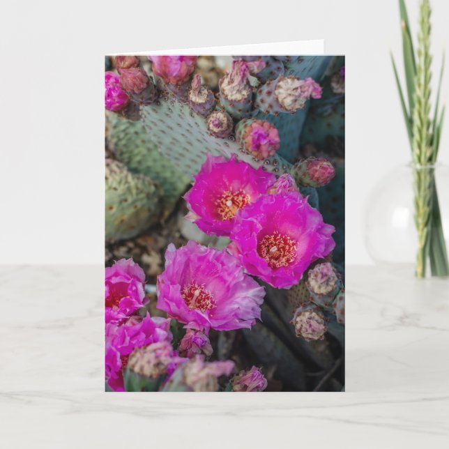Tarjeta Flores de cactus de Fuchsia brillante| Primavera d (Anverso)