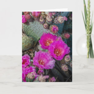 Tarjeta Flores de cactus de Fuchsia brillante Primavera d