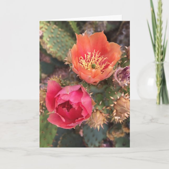 Tarjeta Flores de Cactus | Desierto Florido (Anverso)