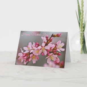 Tarjeta Flores de cerezo japonesas rosadas contra un cielo