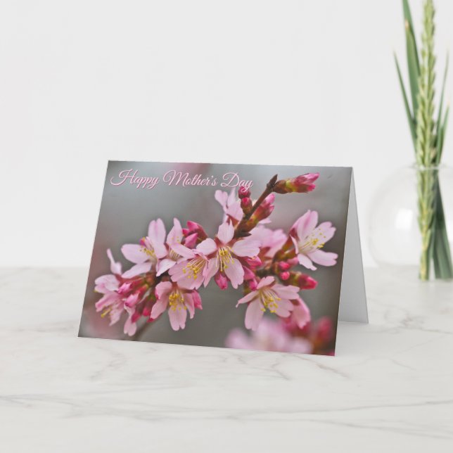 Tarjeta Flores de cerezo japonesas rosadas contra un cielo (Anverso)