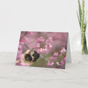 Tarjeta Flores de cerezo que huelen