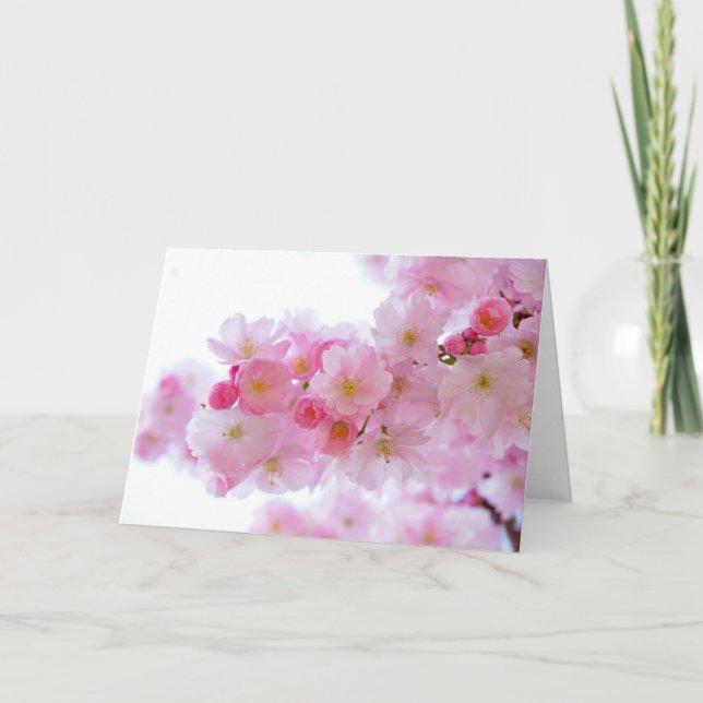 Tarjeta Flores de cerezo rosa pastel (Anverso)
