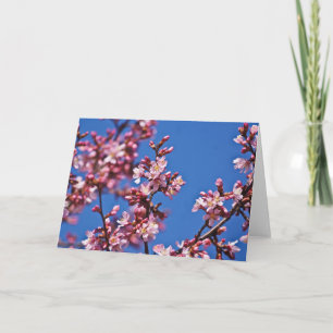 Tarjeta Flores de cerezo sakura tocan el azul